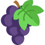 OK-Icon-grape